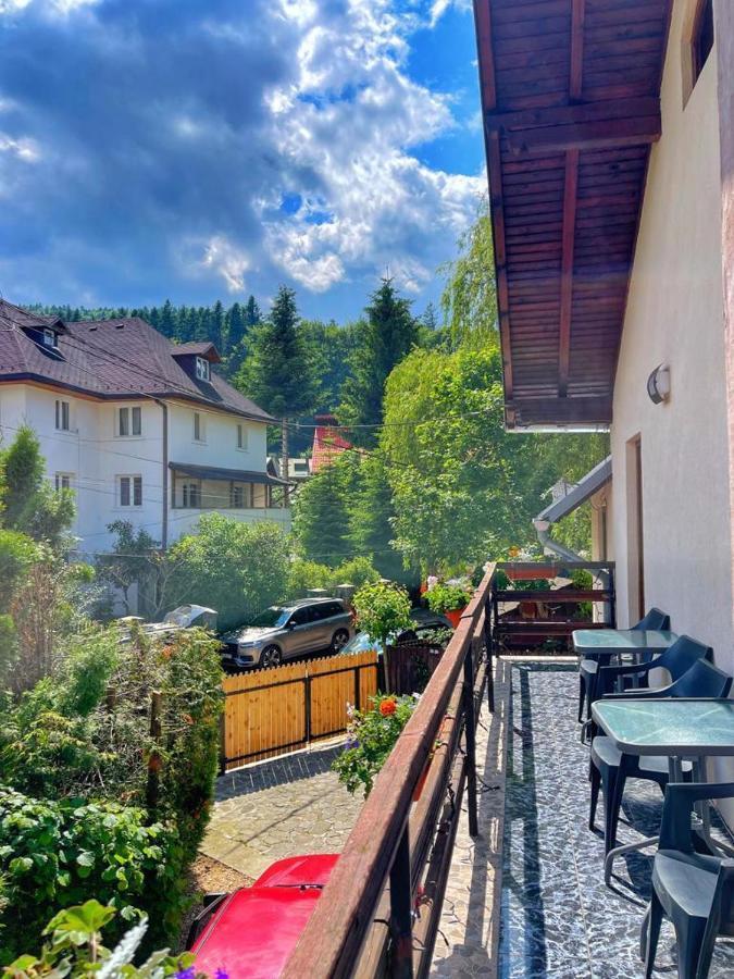Amandra Chalet Sinaia Exterior foto