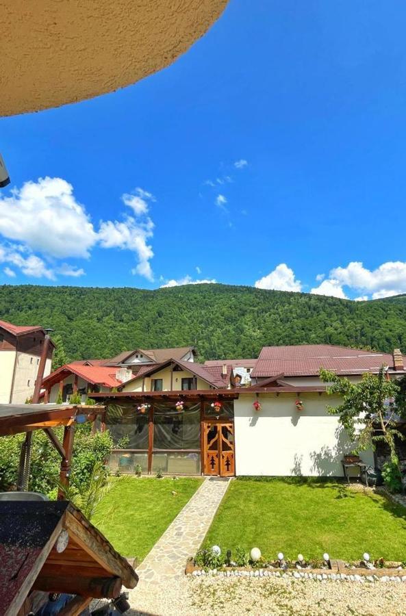 Amandra Chalet Sinaia Exterior foto