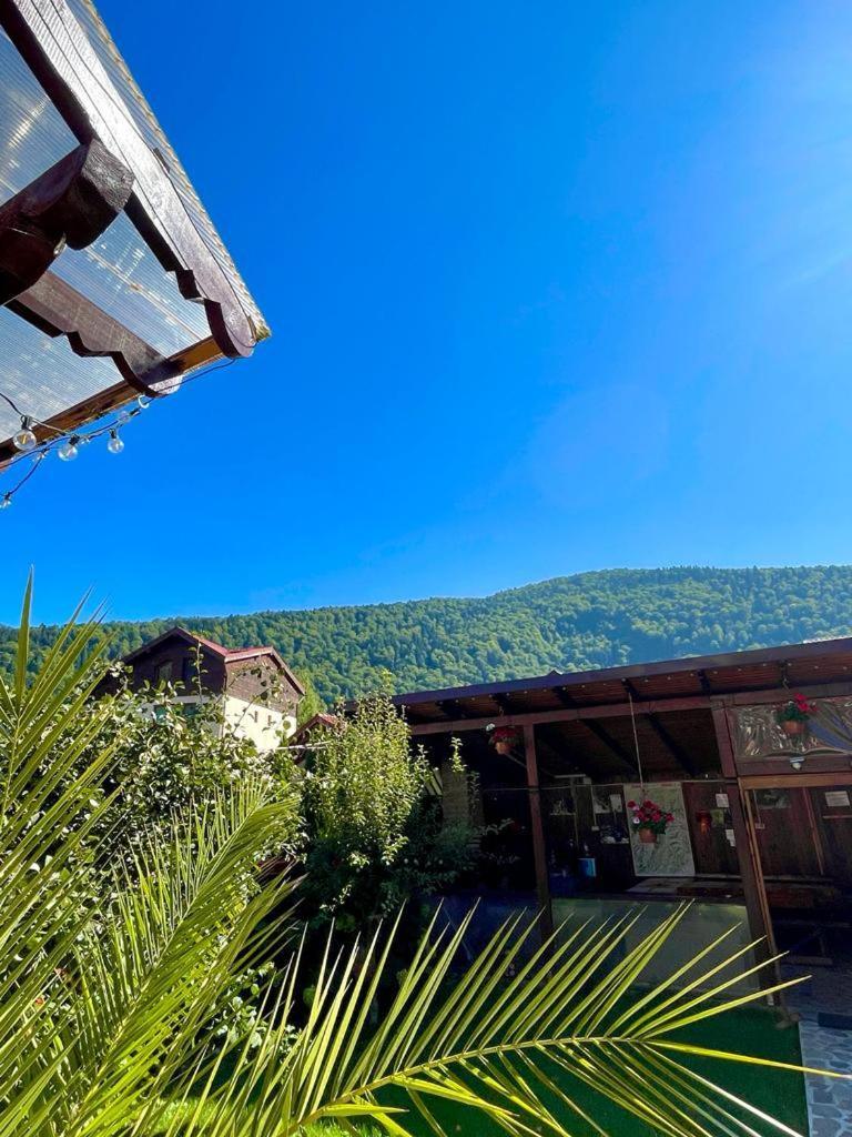 Amandra Chalet Sinaia Exterior foto